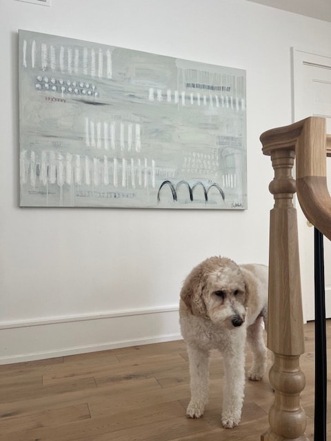 Poodle near artwork in the studio